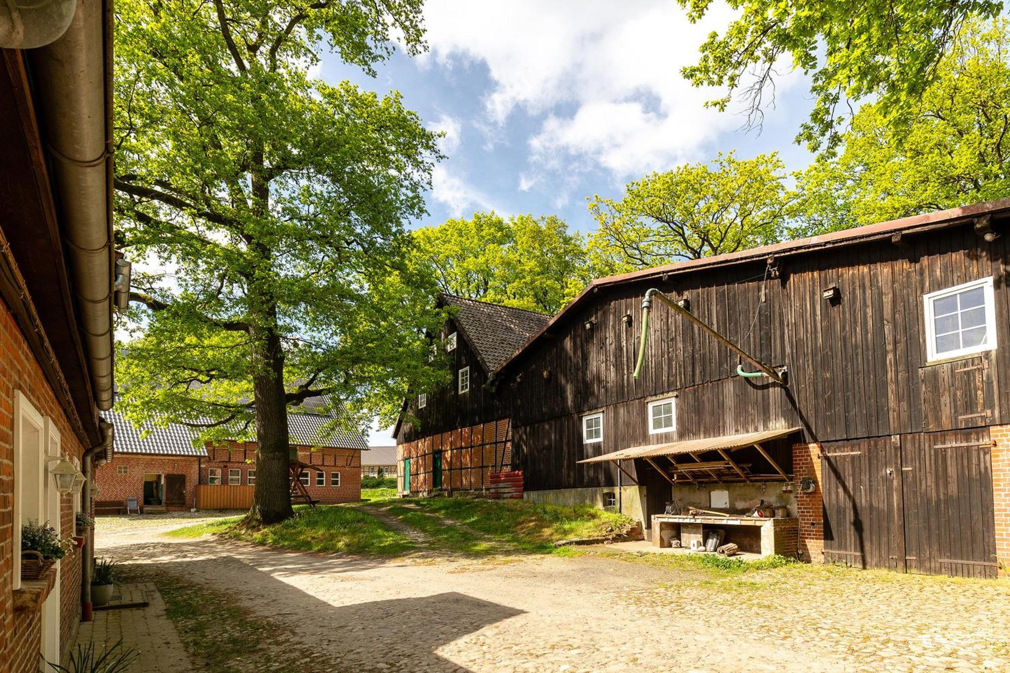 Heide Ferien - Hof Bockelmann Apartment Bispingen Exterior photo